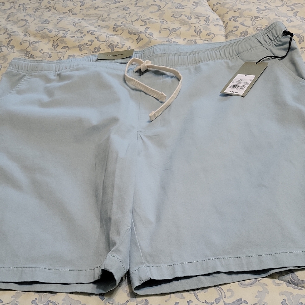 Goodfellow & Co Light Blue Flat Front Men Shorts